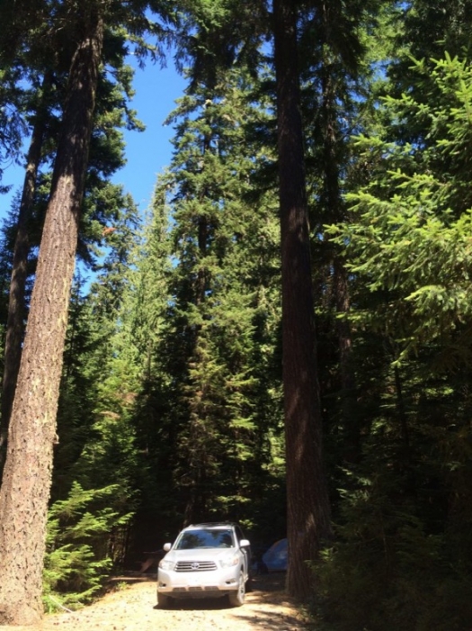 camping_strathcona